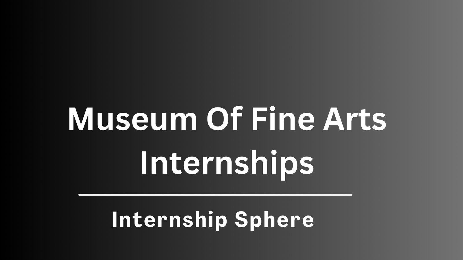 Museum Of Fine Arts Internships