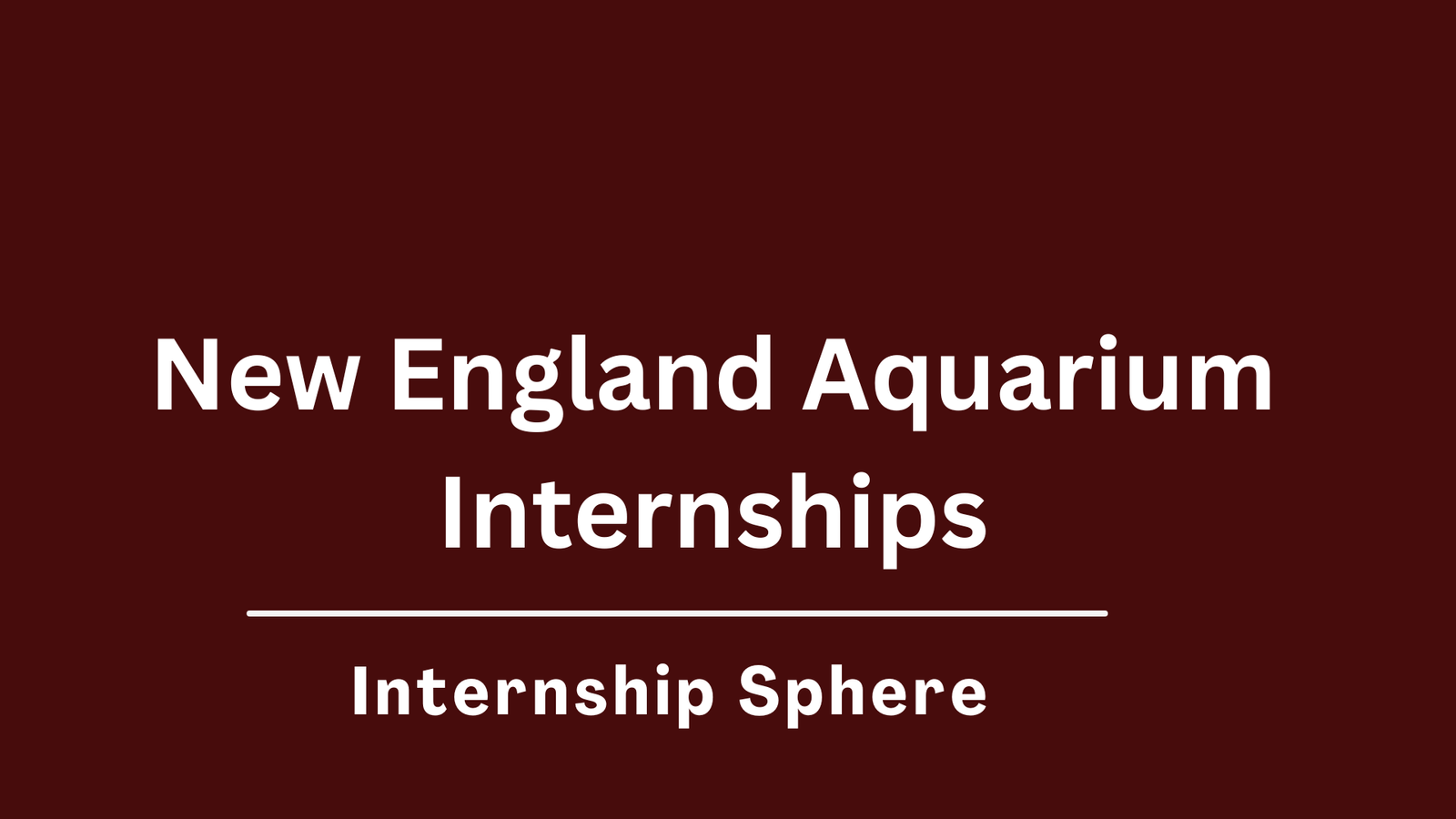 New England Aquarium Internships