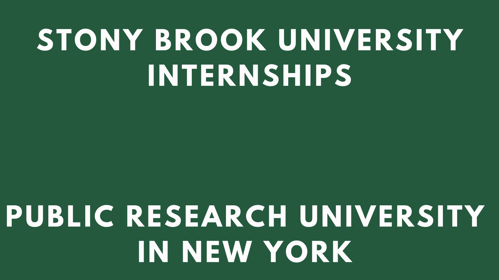 Stony Brook University Internships